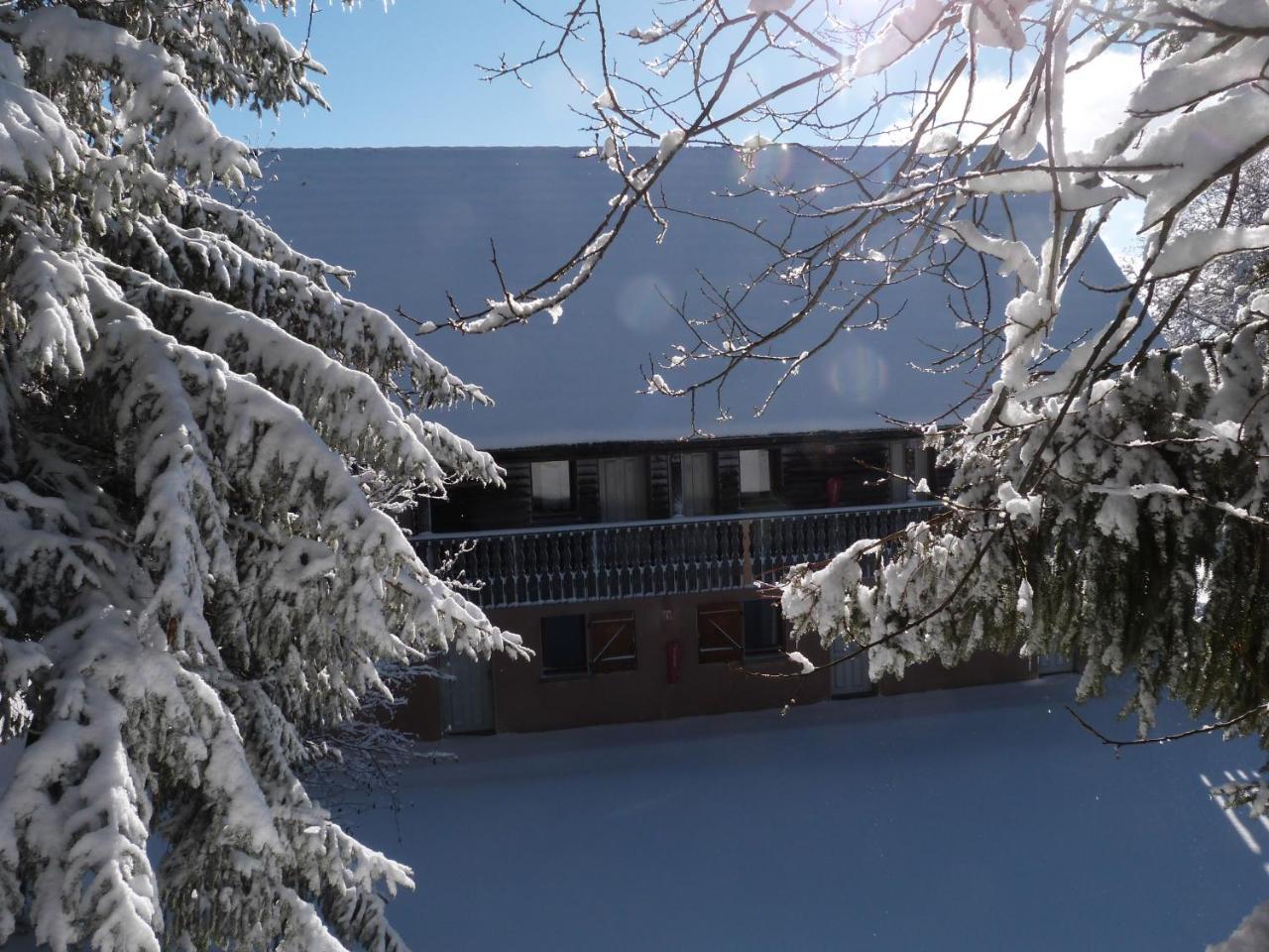 Residence Le Bois De La Reine Супер Бес Екстериор снимка